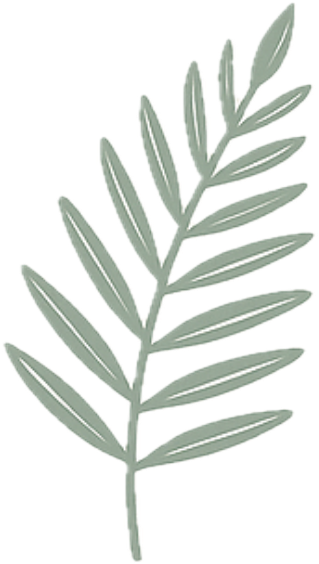 the fern. logo
